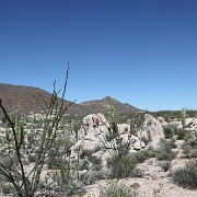 IMG 0020 (2)